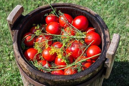 как солить помидоры в бочке